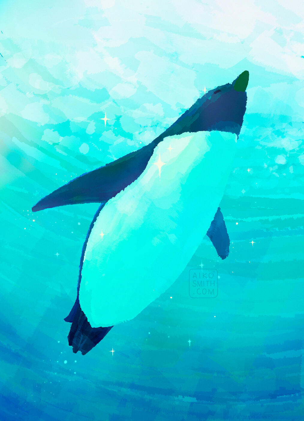 swim swim